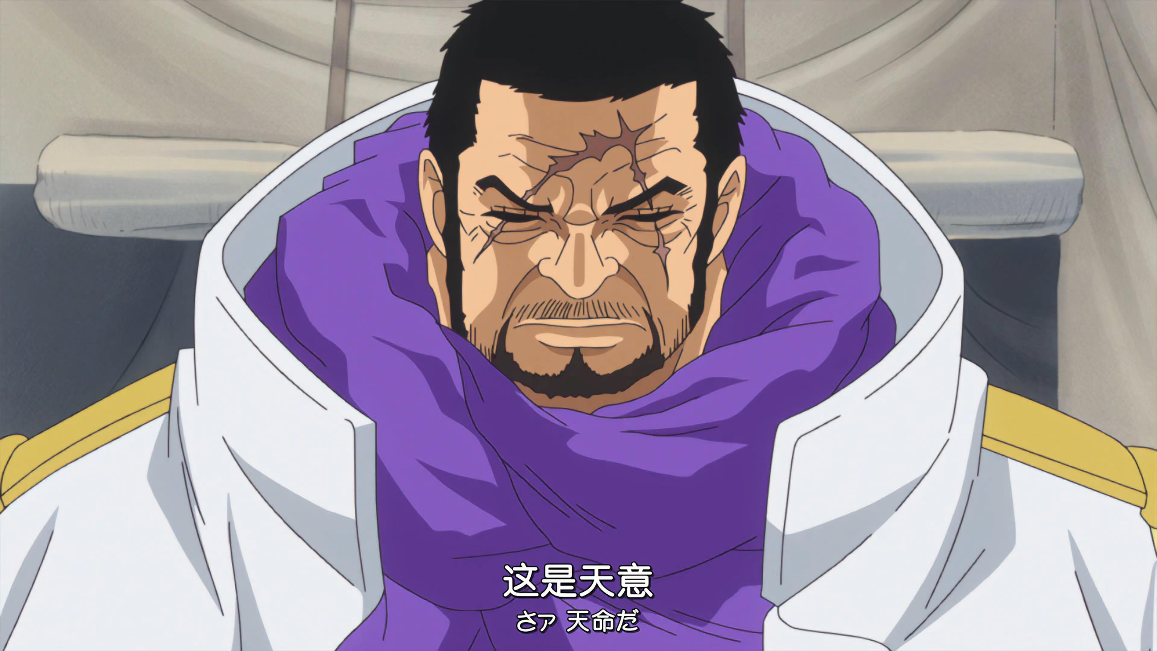 海賊王 藤虎能當海軍元帥嗎 和之國大戰後出擊 是最好機會 互動頭條