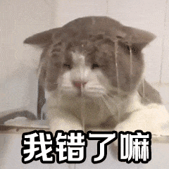 大学期末是什么样子的