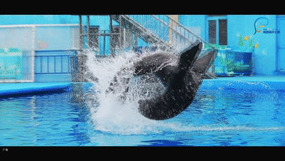 400_226gif 动态图 动图