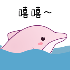 表情包预览近年来,湾大一直致力于研究国家一级保护动物中华白海豚