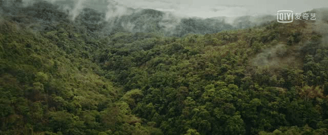 《终极笔记》名场面!或许你见过四百人爬山的场面吗?