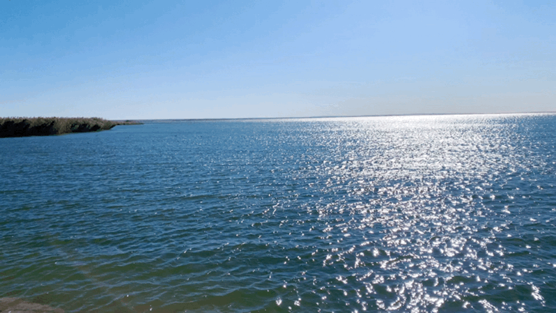 秋色侵染醉美额济纳一生最值得看的风景居延海