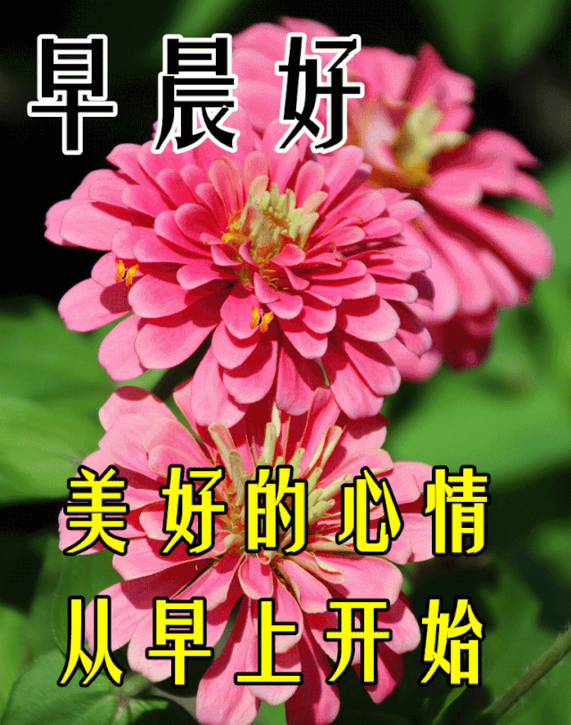 最好的快乐,是平安;最好的祝福,是快乐;最好的问候,是祝福;最好的思念