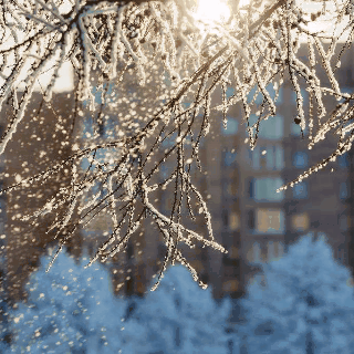 入冬的第一场大雪