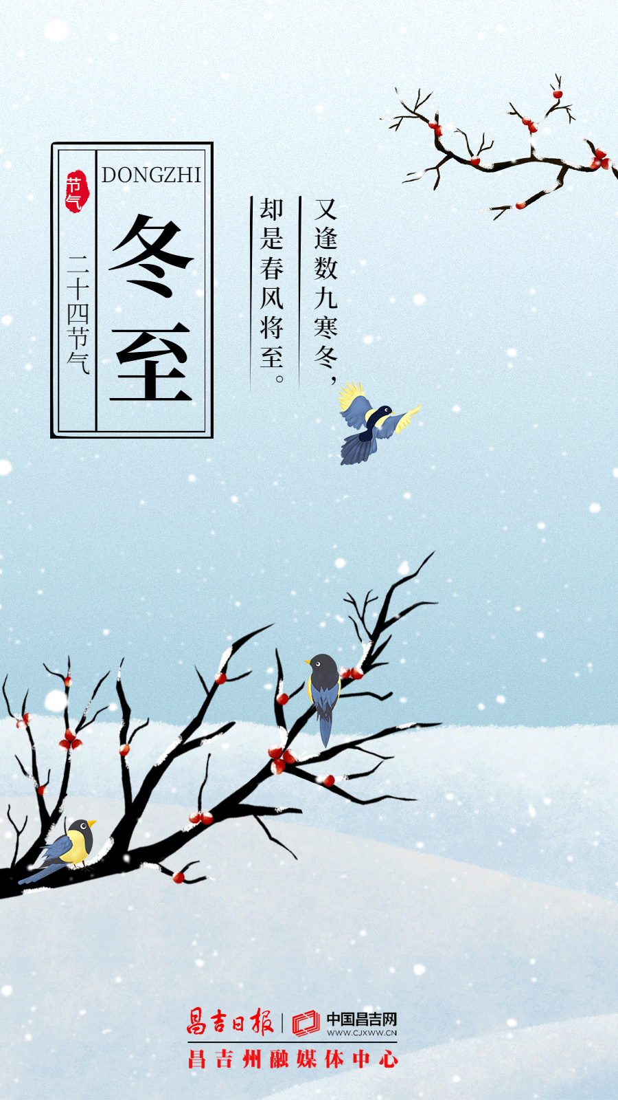 明日迎小雪,降温伴风来～"数九"模式正式开启
