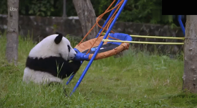 640_352gif 动态图 动图