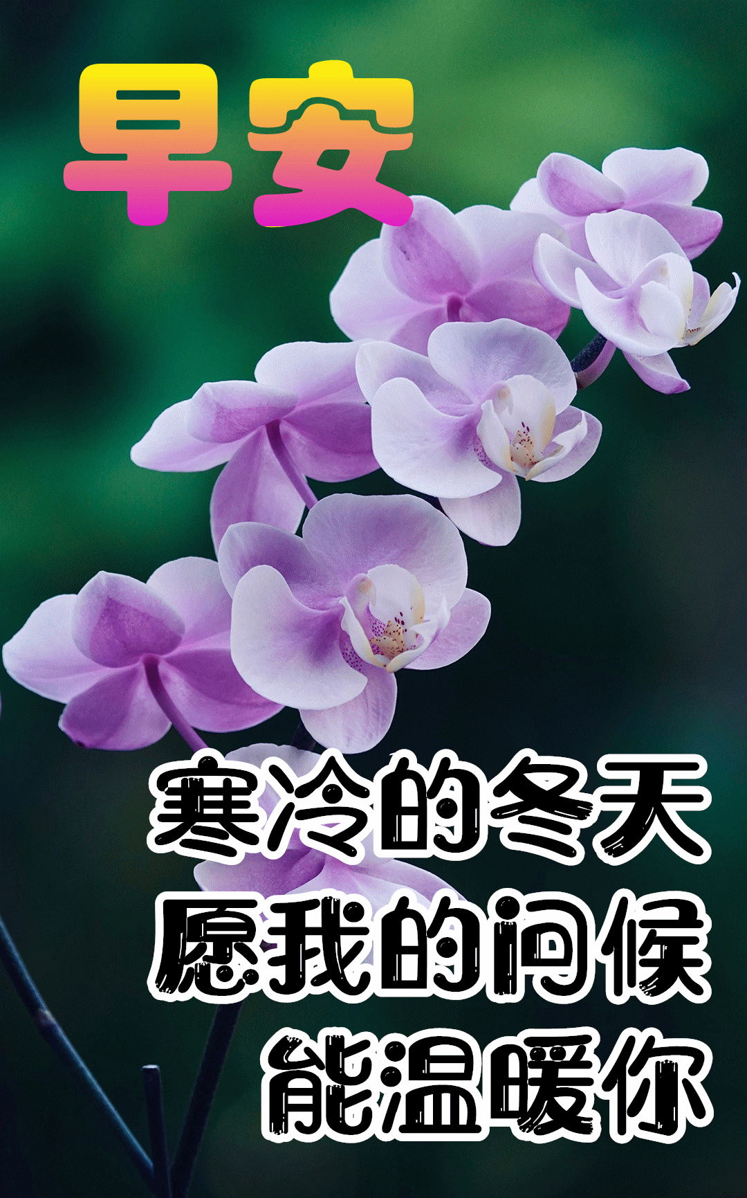 12月30日最漂亮早上好动态表情图片大全,早晨好动图美图大全_腾讯新闻