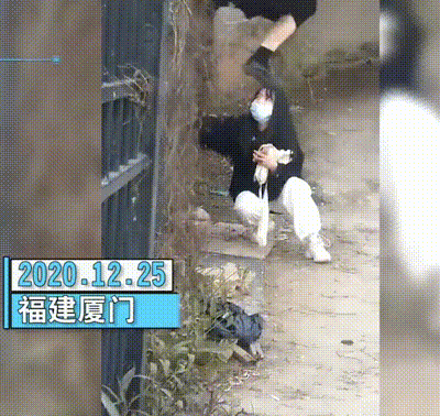 400_378gif 动态图 动图