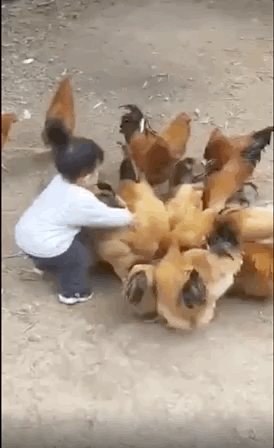 274_448竖版 竖屏gif 动态图 动图