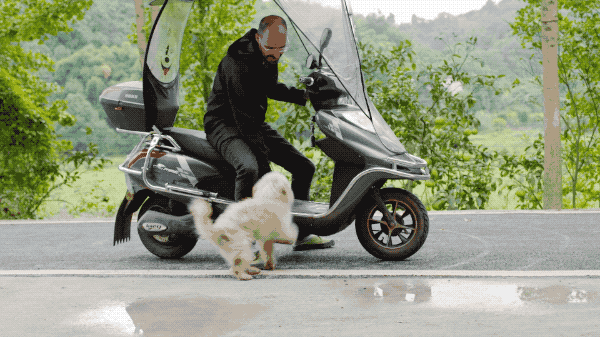 他是法国富三代 却隐居重庆深山做漆13年 作品被中外藏家追捧 腾讯新闻