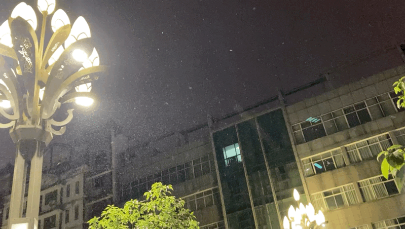 799_452gif 动态图 动图