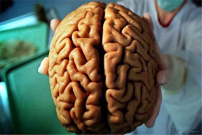 随着科技发展,也许在不远的将来,脑死亡的患者家属可以签署知情同意