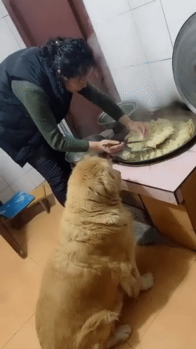 280_498竖版 竖屏gif 动态图 动图