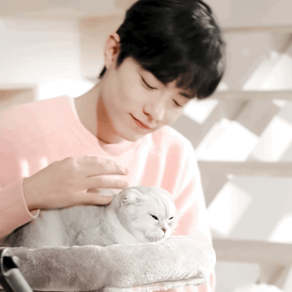 肖战官宣新片每周二晚八点第一站肖战带你看重庆