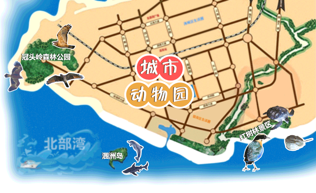 不用出门,北海"城市动物园"点进来就能逛!_腾讯新闻