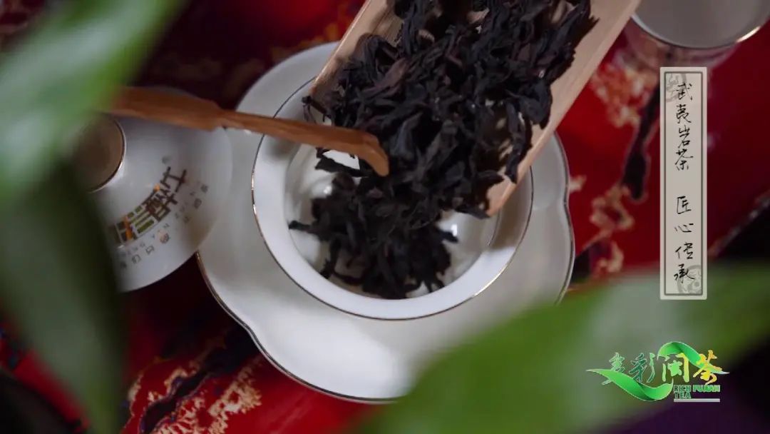 多彩闽茶|温火慢焙 好茶好工艺