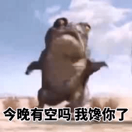 萌宠表情包:今晚有空吗?我馋你了!