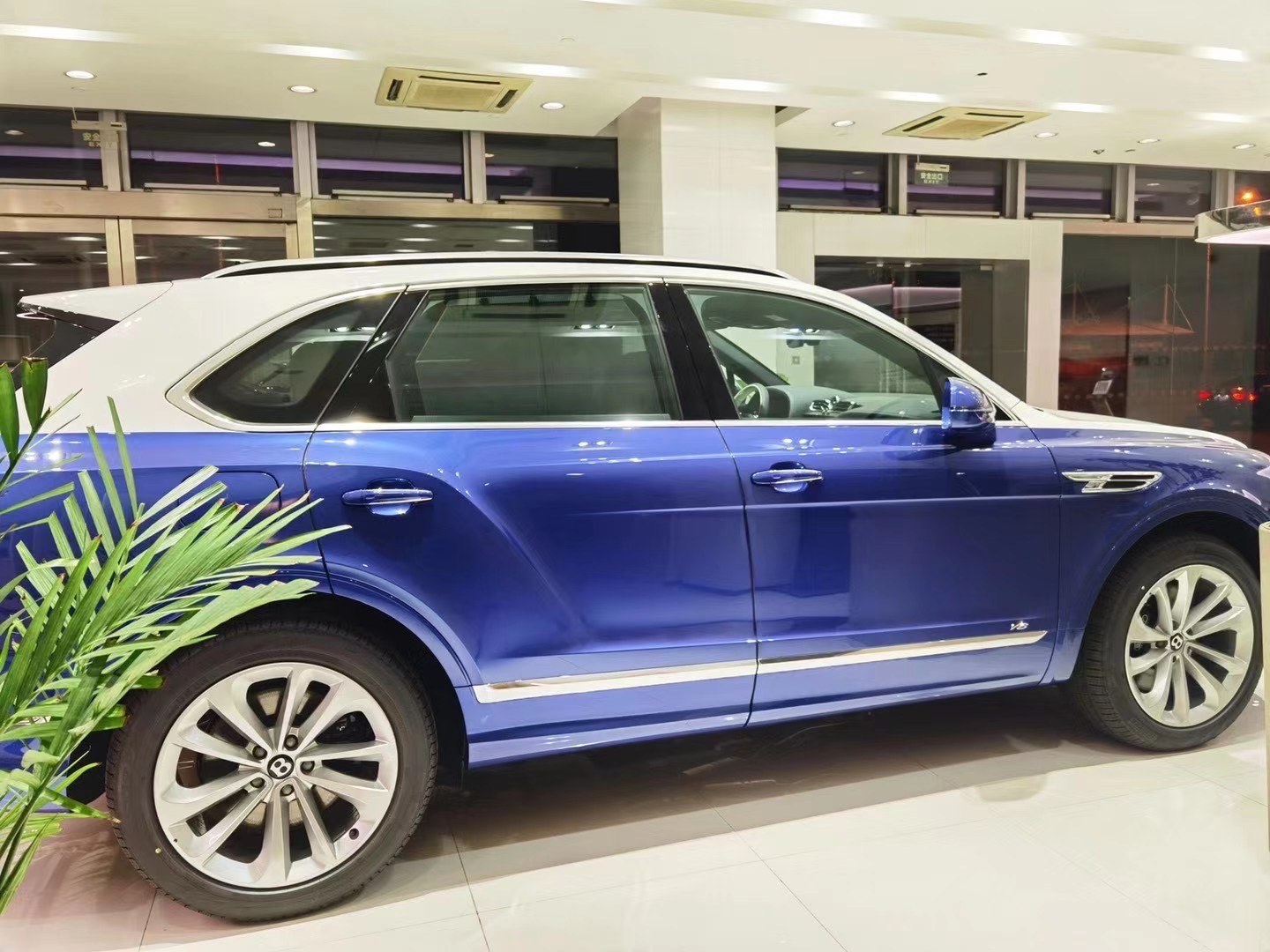 21款宾利添越爱你所爱座你所想奢华体验