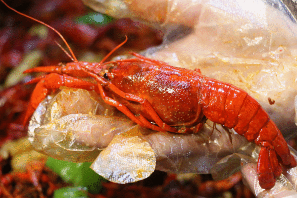 不是所有合肥产龙虾都是"合肥龙虾"!