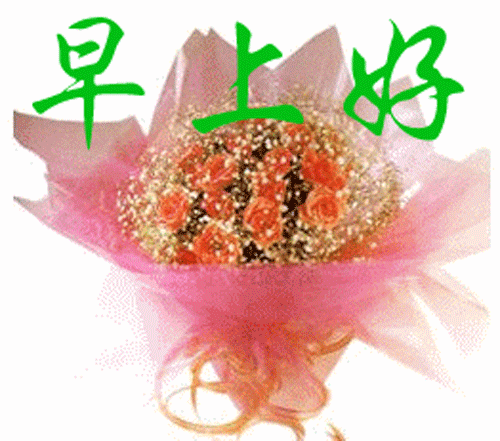 早安问候图片带字早安问候语录最新