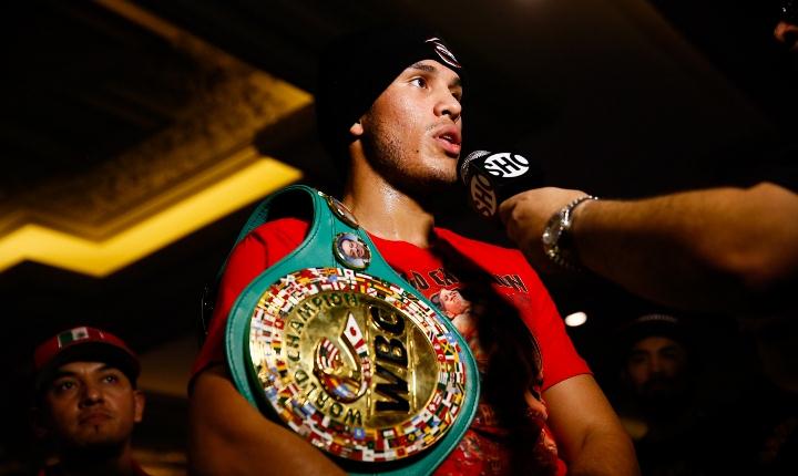 贝纳,大卫,世界,中量级,拳王