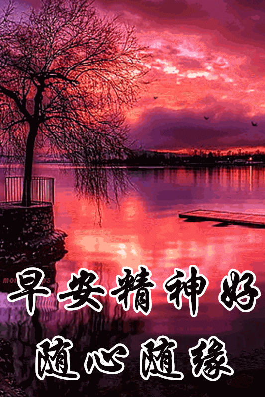 最漂亮早上好动态表情图片大全,早晨好动图美图大全