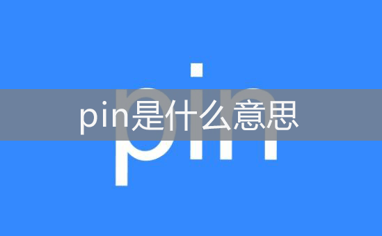 pin是什么意思?