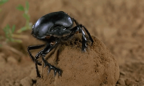 480_288gif 动态图 动图