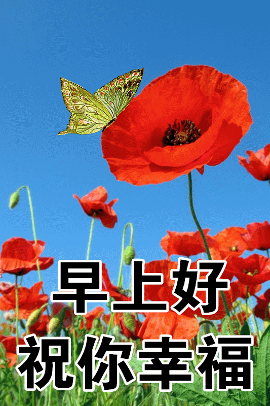 非常精美早上好祝福语动态图片周二特别漂亮的问候早上好图片带字