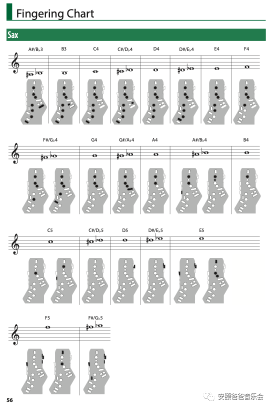 罗兰ae30参数指南和指法表发布