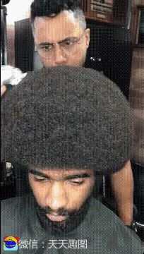 搞笑gif:那么问题来了,那些剪下来头发去了哪里?