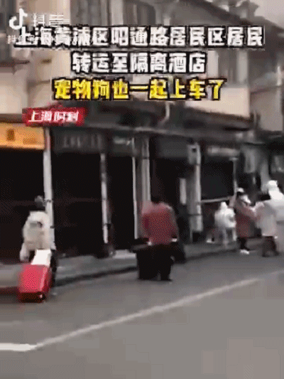 上海宠物航空箱