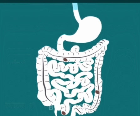 447_372gif 动态图 动图