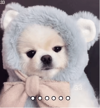 敲可爱的动态表情包