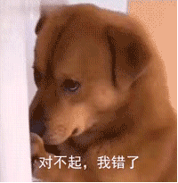 萌宠表情包:怎么,有情绪了?