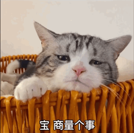 450_446gif 动态图 动图