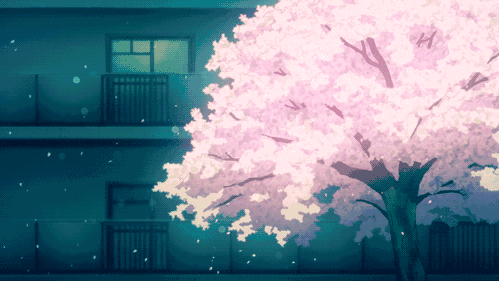 大风警报|冷空气即将卸货