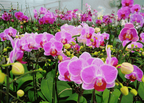 551_395gif 动态图 动图