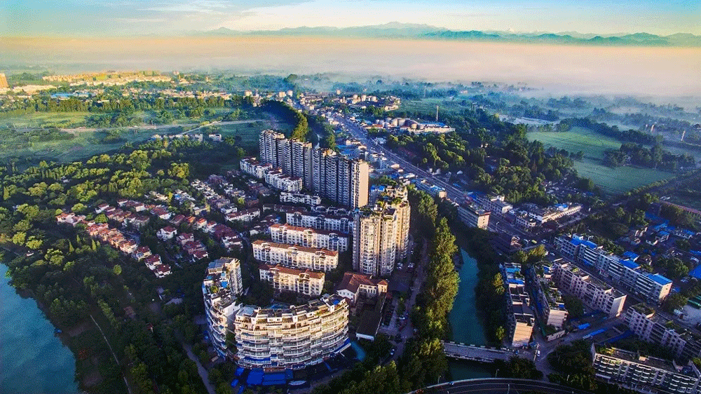 你好我是新津这是我的最新简历