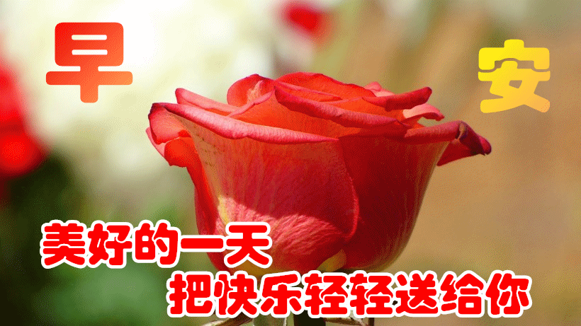 2021最美早上好动态图片带字温馨微信群发暖心的早安图片集锦