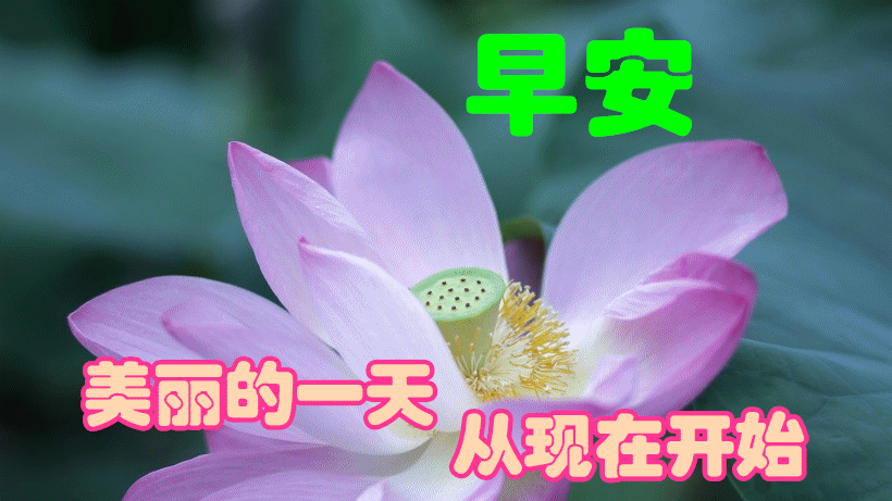 2021最美早上好动态图片带字温馨微信群发暖心的早安图片集锦