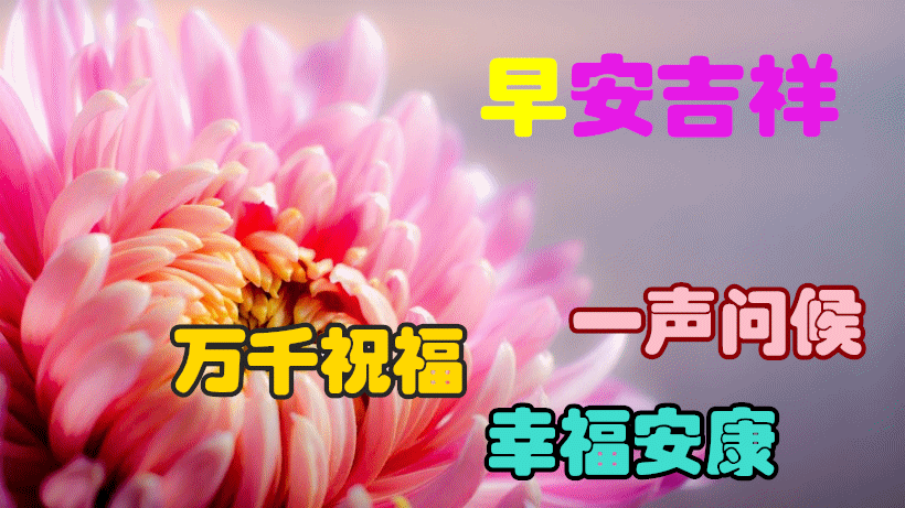 2021最美早上好动态图片带字温馨微信群发暖心的早安图片集锦