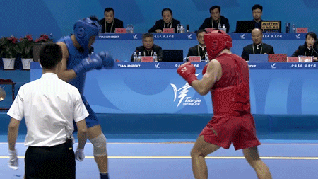 盘点散打高鞭腿ko五大名场面