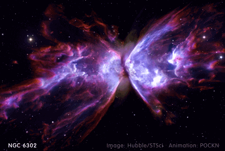 440_297gif 动态图 动图