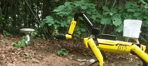 波士顿动力|黑镜狗再现！波士顿动力“大黄狗”上岗SpaceX，勘察火箭爆炸现场