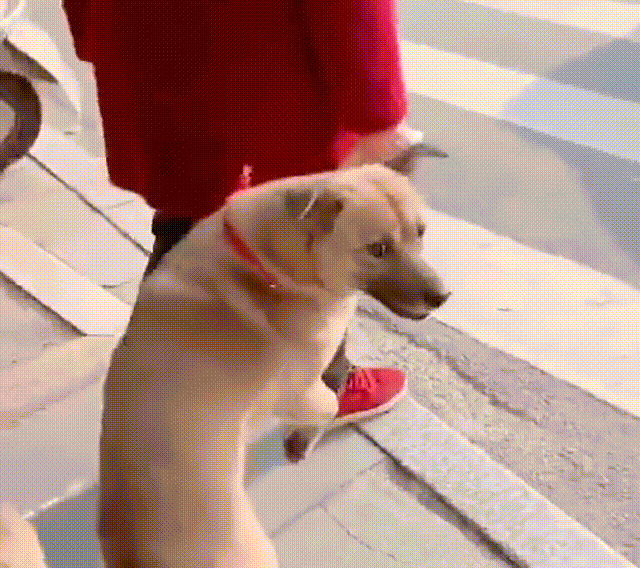 搞笑段子剧,拥有好身材,必须秀出来