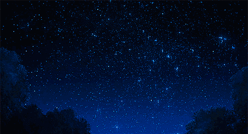 500_271gif 动态图 动图