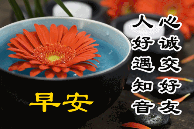 正月初九最新早上好表情包大全,虎年愉快,幸福久久,事事如意!