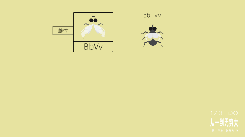 李永乐老师品书|想给生活充点电？向大家推荐我的良心作品《李永乐老师品书》