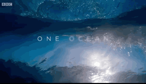 纪录片|这个寒假，关掉垃圾动画片！这四部纪录片适合和孩子一起涨知识！